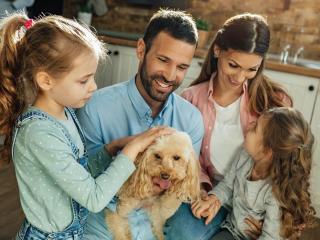 KobiPetcare Marketplace