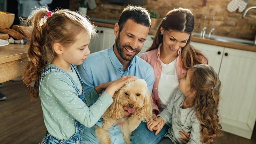 KobiPetcare Marketplace